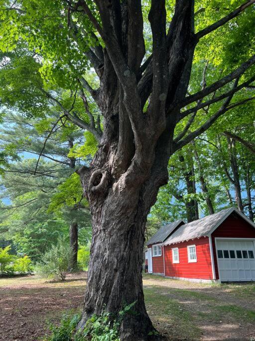 Schoolhouse No. 11 * Hudson Valley Upstate Getaway Stone Ridge Luaran gambar